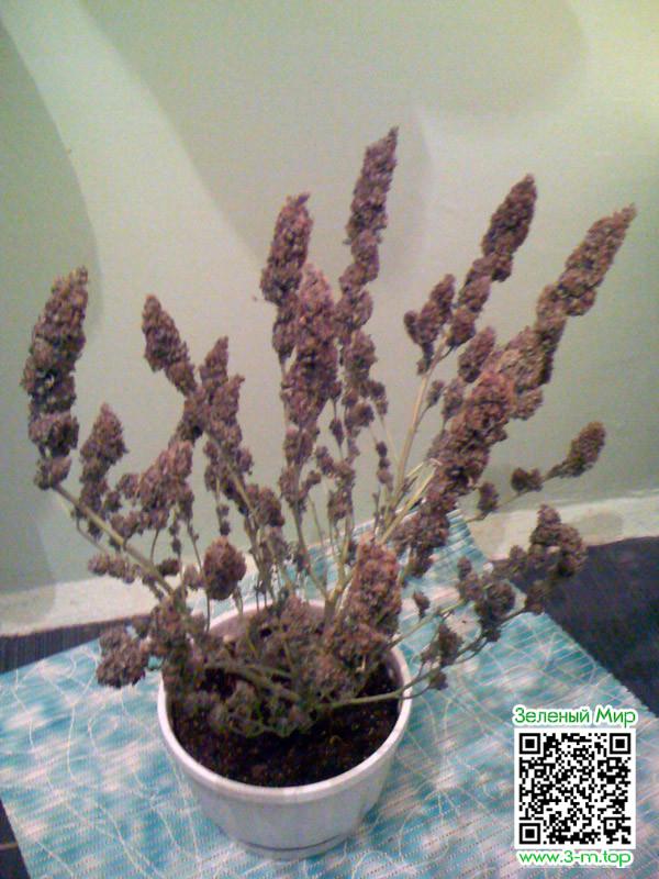 cc73f878ad7fa796e25f5be1e90b49a4.jpg